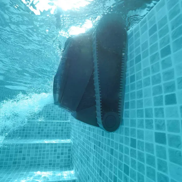 Dolphin Liberty 300, visuel du fabricant (2/3)